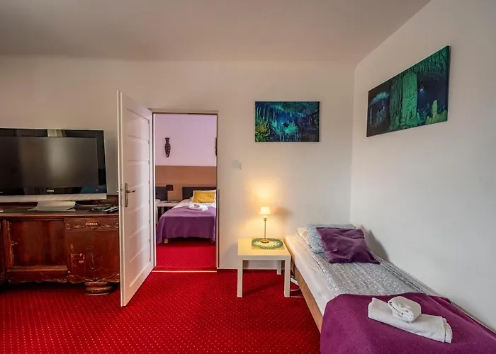 Kava Проживание в семье