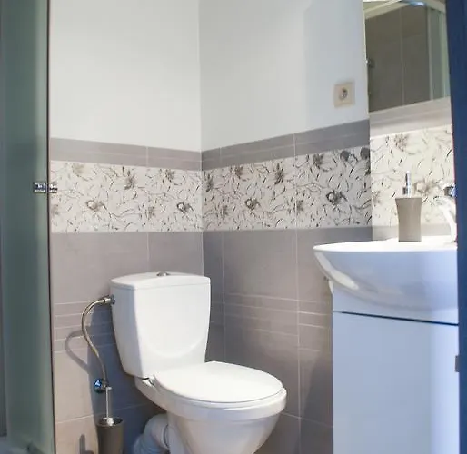 Kava Проживание в семье